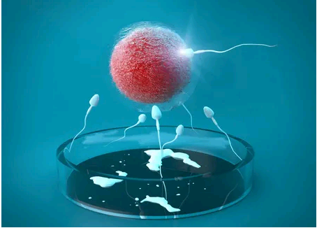 捐卵供卵机构_捐卵联系方式|德州第三代试管怎么筛选性别三代试管婴儿怎么选