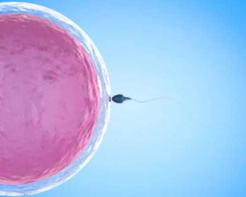 捐卵是什么流程_卵子能卖多少钱一颗|做试管婴儿打排卵针伤身吗？